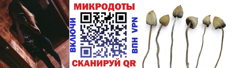 цена наркотик  Углегорск  Галлюциногенные грибы мицелий 